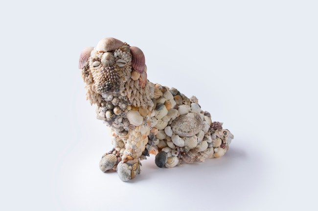 Nat Thomas Puppy 1 2013