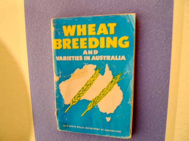 In Debt, saving seeds