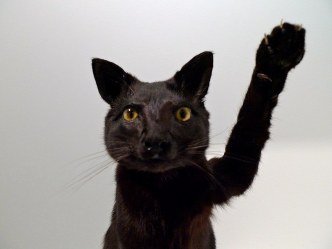 Greatest Hits, untitled, 2012