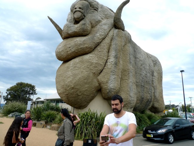 Jeff captures the magic at the Big Merino