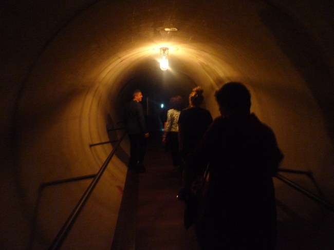 Back down the MONA birth canal